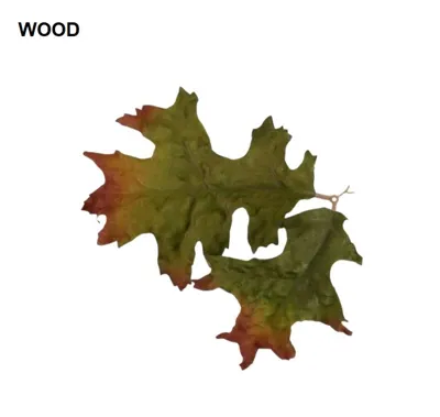 Leaf LC4 - Novritsch
