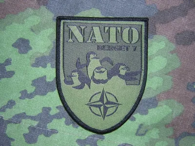 Berget 7 Giugno 2009 NATO Patch "Carini e Coccolosi" - softair italia