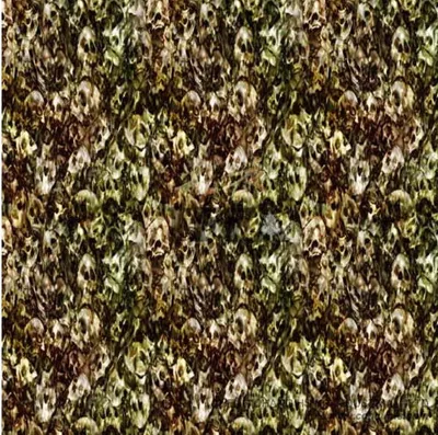 Water Transfer Skulls per Fucili Sniper e Oggetti Oltre 65cm - Klaus