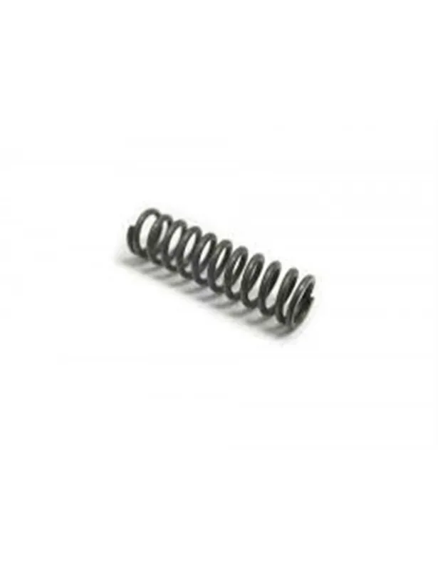 Muelles Internos Gear Box