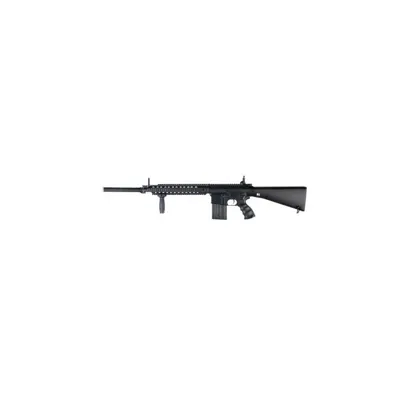 SR25 con Silenciador y Pistolete - Golden Eagle