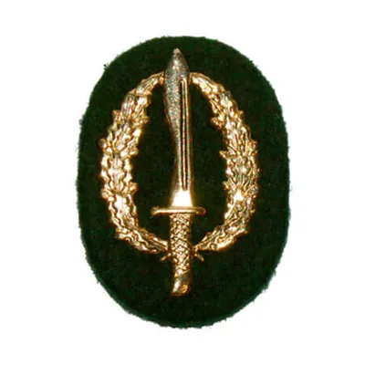 Emblema Boina COE C/Fieltro - Foraventure