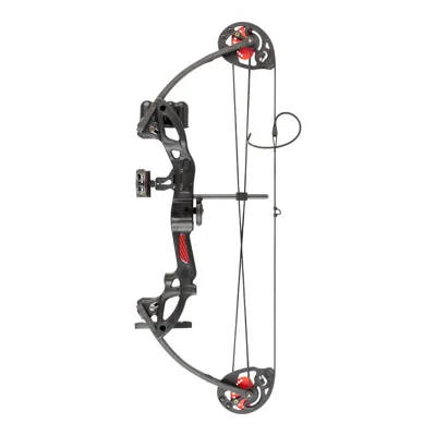 Compound Bogen Robin Expert Set 15 - 29 Lbs - Kaufen! - NXG