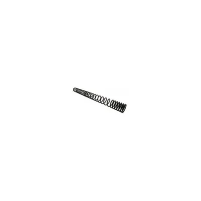 Muelle TM SP100 Reforzado - Guarder