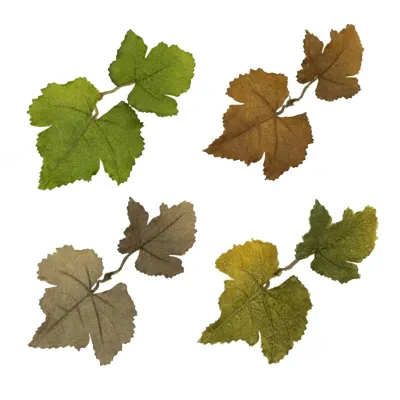 Leaf LC1 Fern - Novritsch