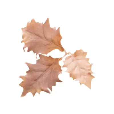 Leaf LC5 Ivory - Novritsch
