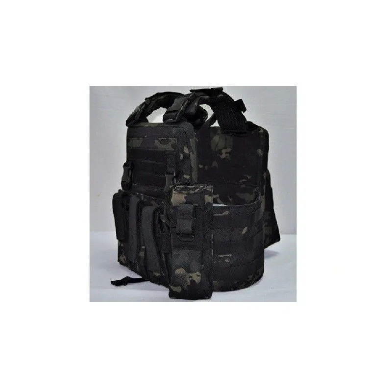 MIC RPC · Multicam