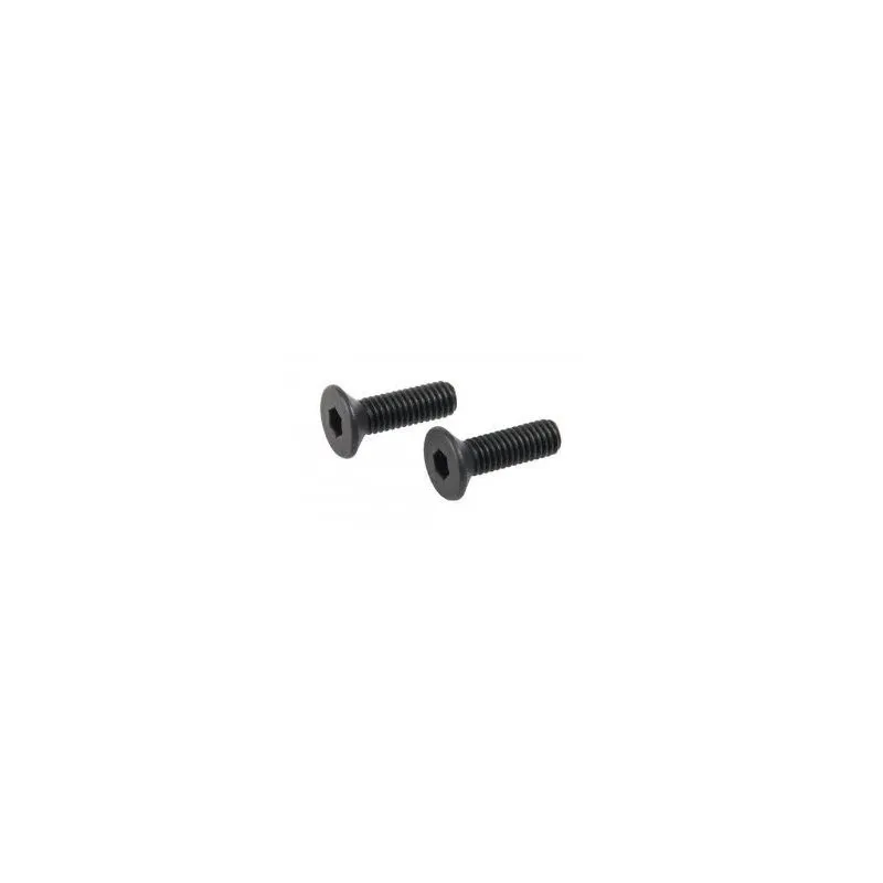 Tornillos para RMR Gladius