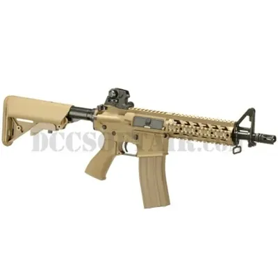 CM16 Raider Dst