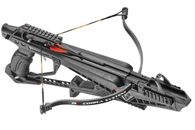 Armbrust Cobra R9 90IBS Grau - Buchner