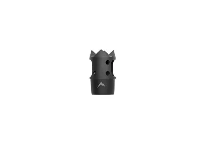 Rainier Arms Mini XT Comp AR15 CW - PTS Syndicate