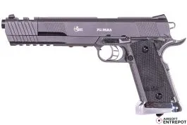 Model P11 para CO2