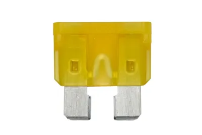 25 Amp Fuse (Set of 3) - Perun