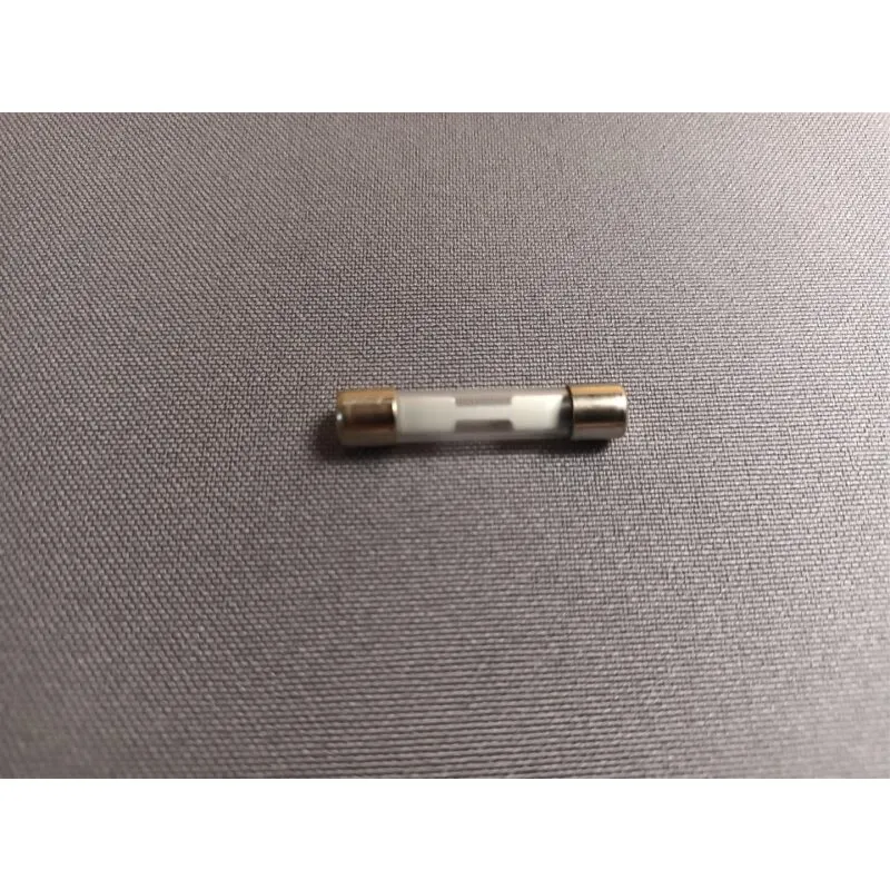 Glassicherung 20A
