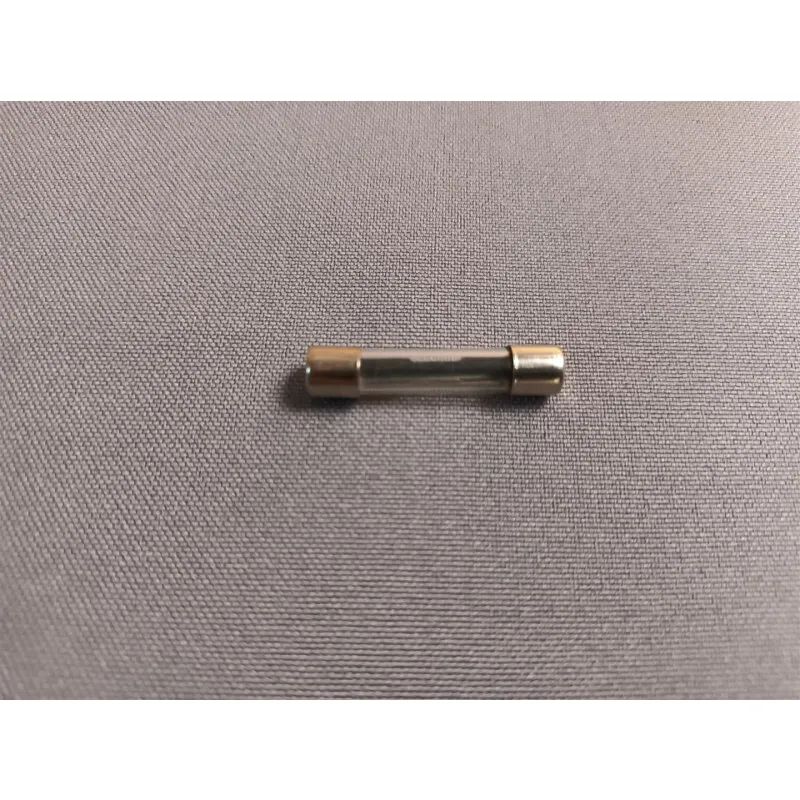 Glassicherung 25A