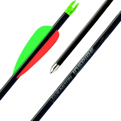 Bogenpfeil Inspire 30 Carbon Mit STD Target Spitze Und G-Nock 1 Stück - Easton
