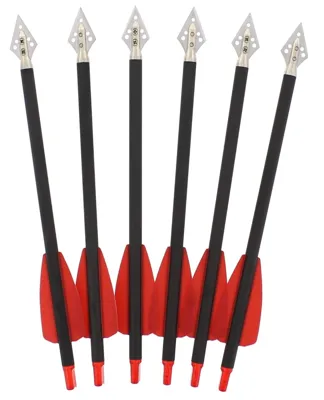Carbonpfeile 7,5'' Mit Jagdspitze Im 6ER Pack - Buchner