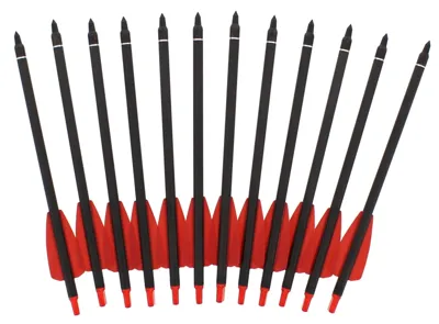 Carbonpfeile 7,5'' Mit Feldspitze Im 12ER Pack - Buchner