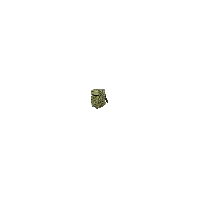 45L · Multicam Tropic