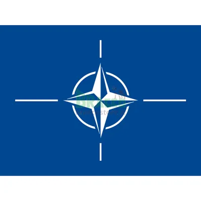 Bandiera 100 x 150 cm NATO - in Stamina Di Poliestere 100% - 145g/Mq (Circa) - GENERICA