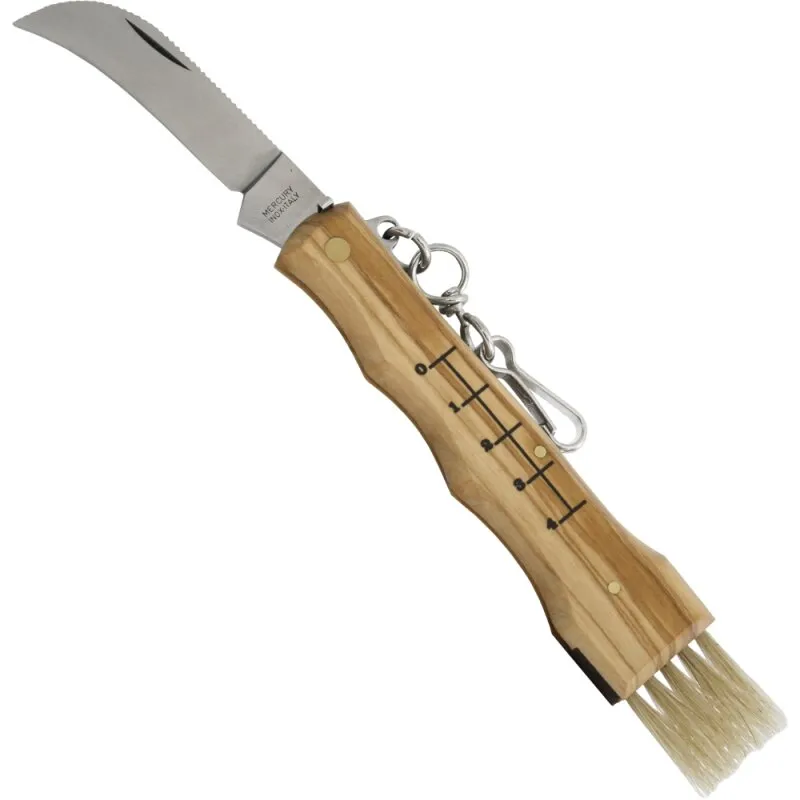 Pilzmesser Olivenholz