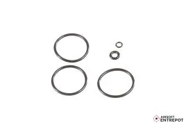 Redline Kit Joint pour Regulateur Mini SFR