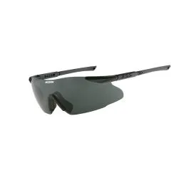 Lunettes Ice 1 Fumé