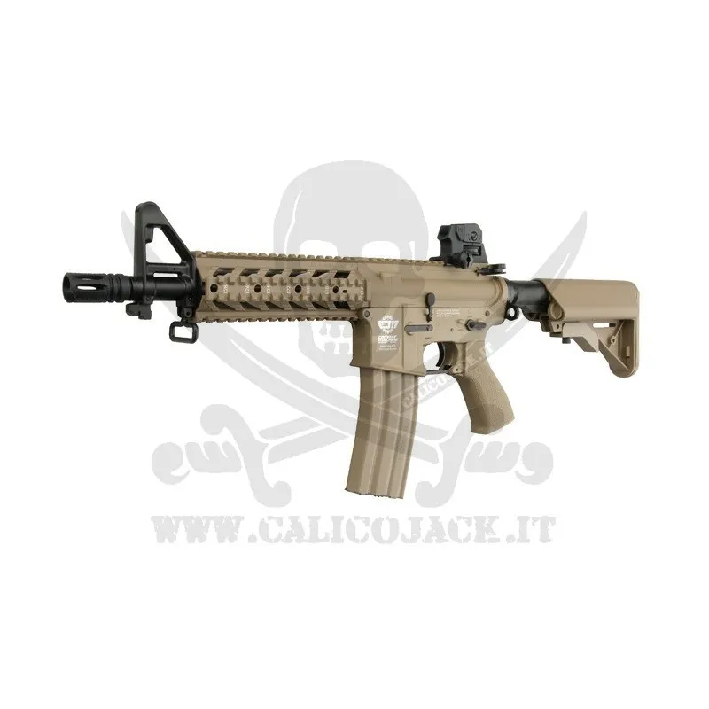 CM16 Raider