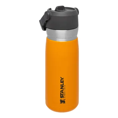 IceFlow Flip Straw Water Bottle 0.65 Liter - Stanley