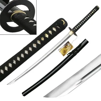 Ten Ryu Reverse | Katana - Blades USA