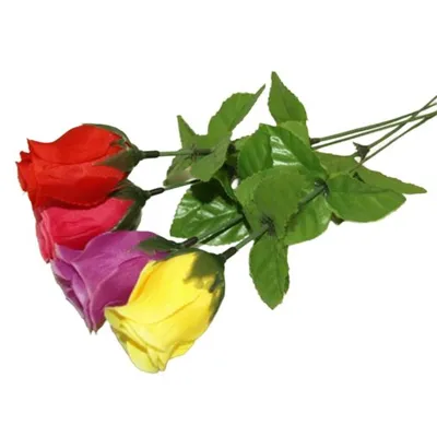 Kermis Schiet Rozen | 288ST - Ram Tactical
