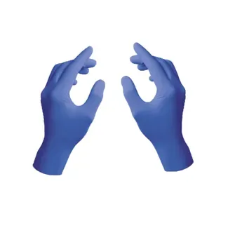 Nitrile Protective Gloves P-2PAAR - Holík