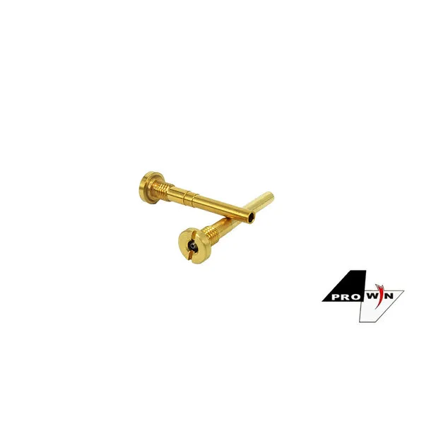 Prowin Injection Valve