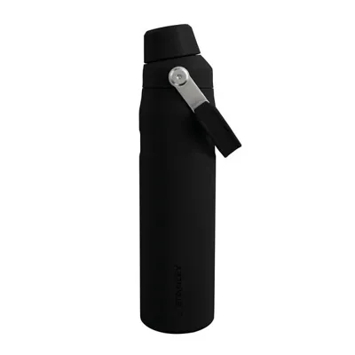 The Iceflow FAST Flow Bottle 0.6L - Stanley