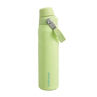 The Iceflow FAST Flow Bottle 0.6L | Citron - Stanley