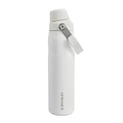 The Iceflow FAST Flow Bottle 0.6L | Frost - Stanley