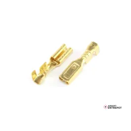 Connecteurs Moteur Faston - 2PCS