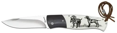 Σουγιας, Κυνηγοσκυλο Penknife. Lock, 25227 - Albainox