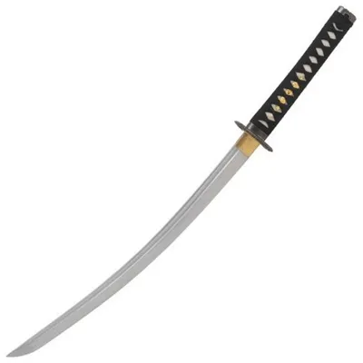 Dragon Tokuni Wakizashi - John Lee