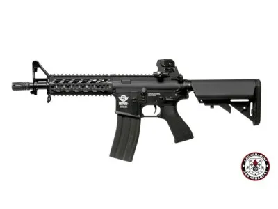 CM16 Raider - G&G Armament