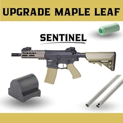 M4 Sentinel Omega / Upgrade - Rossi