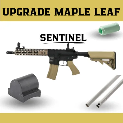M4 Sentinel Epsilon Upgrade - Rossi