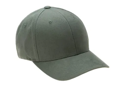 Brushed Twill Cap - Pine - Flexfit