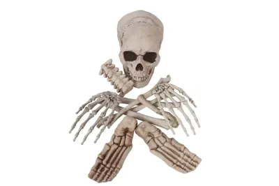 Store Knogler Og Kranie Pose – 12 Dele - Epic Armoury