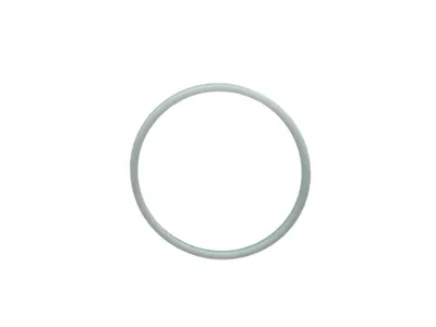 Teflon Ring for Upgraded CO2 Power Chamber, C1 Pro - Action Army