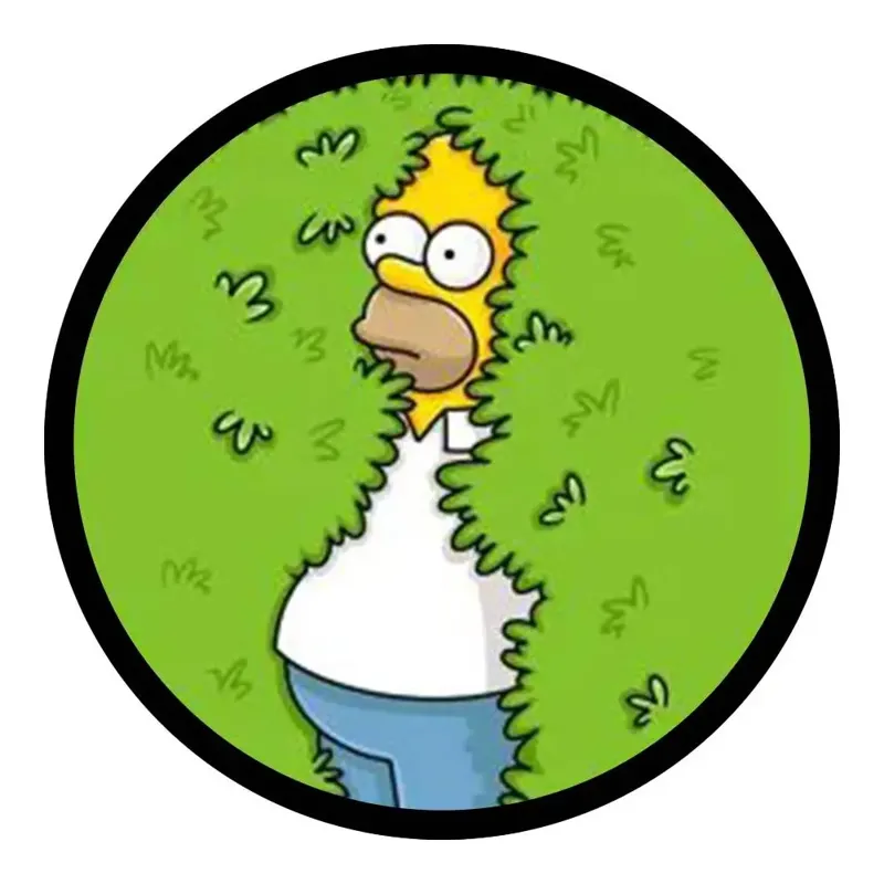 Homer y Seto