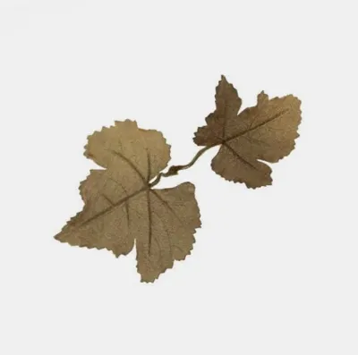 Leaf LC1, Carob - Novritsch