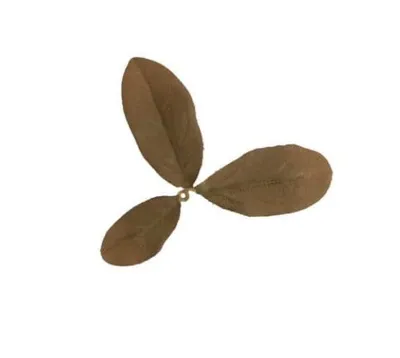 Leaf LC2, Peat - Novritsch
