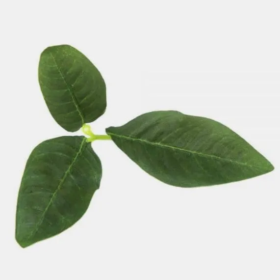 Novritsch Leaf LC3, PIne · Camo