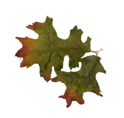 Leaf LC4, Wood - Novritsch